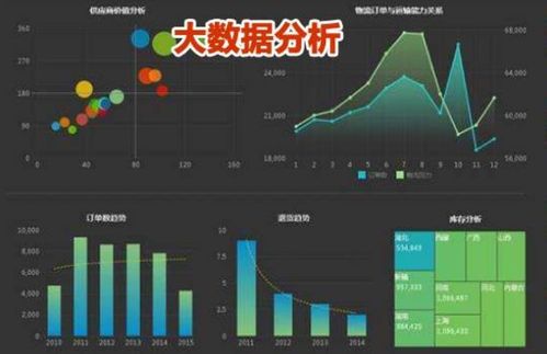 大数据与企业经营管理 洞察、决策与变革